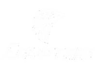 Egypt Air